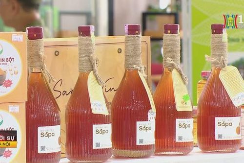 Nhiều phương án phân phối hàng hóa Tết