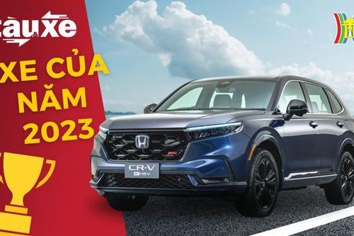Những mẫu xe dẫn đầu các phân khúc năm 2023| Bản tin Tàu và Xe | 15/01/2024