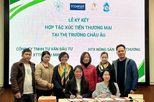 Kết nối doanh nghiệp xúc tiến thị trường xuất khẩu cho các sản phẩm khởi nghiệp đổi mới sáng tạo tỉnh Lạng Sơn tại thị trường Châu Âu