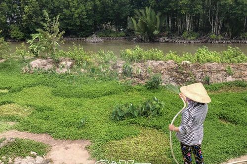 Cồn Cát vượt khó vươn lên