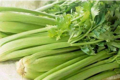4 lợi ích của cần tây có thể khiến bạn bất ngờ