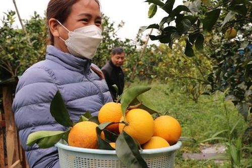 5 làng nghề đậm chất Tết ở xứ Nghệ