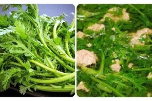 Món ăn từ cải cúc chữa bệnh