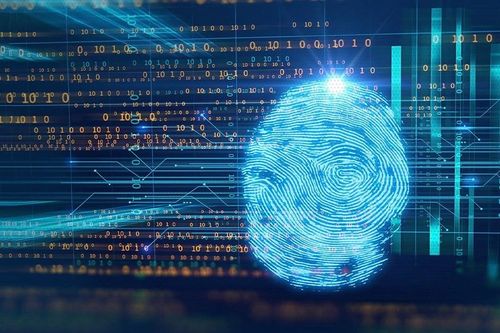 AI cho thấy dấu vân tay không hoàn toàn độc nhất