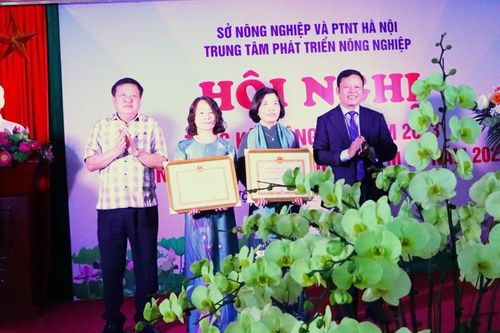 Thực hiện hiệu quả các giải pháp tái cơ cấu ngành nông nghiệp Hà Nội