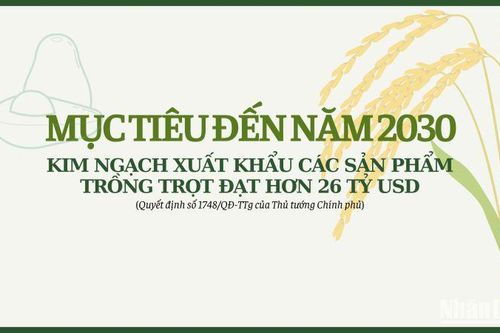 Kim ngạch xuất khẩu các sản phẩm trồng trọt hướng đến mục tiêu 26 tỷ USD