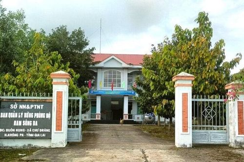 Doanh nghiệp xin lỗi vụ giả mạo quyết định của Chủ tịch tỉnh Gia Lai
