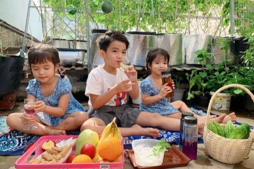 Kỹ năng cần khi đi dã ngoại cho trẻ