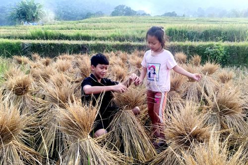 Cảm thụ văn học: Tiếng reo vui khắc giao mùa