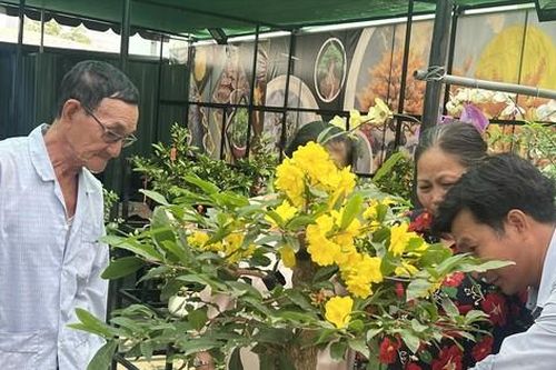 Cây, hoa độc lạ hút khách chơi Tết