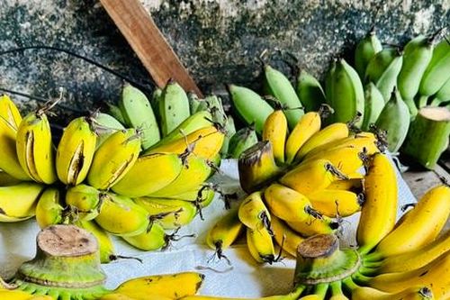 Làng quê có đặc sản 'tiến vua' được nhiều người săn đón