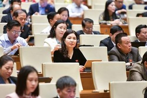 'Gỡ vướng' để thực hiện Dự án cấp điện từ lưới điện quốc gia cho huyện Côn Đảo