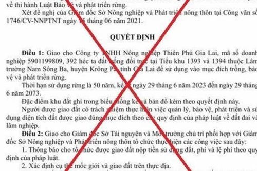 Gia Lai: Văn bản cấp gần 400ha rừng cho doanh nghiệp là giả mạo