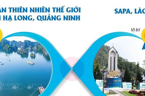 Vịnh Hạ Long và Sa Pa lọt top điểm đến thịnh hành nhất thế giới 2024