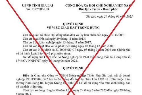 Gia Lai: Bác bỏ thông tin cấp gần 400 ha rừng cho doanh nghiệp
