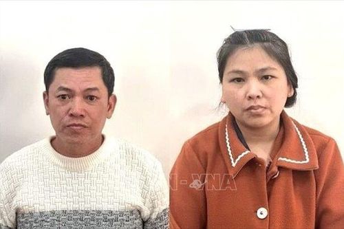 Bắt giữ đôi vợ chồng lừa đảo, trốn truy nã