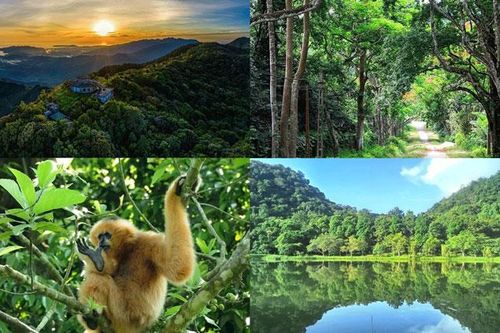Thông tin về Vườn quốc gia duy nhất của Việt Nam 5 năm liên tiếp lọt top hàng đầu châu Á