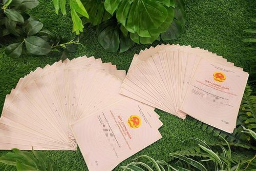 Chủ đầu tư Gem Sky World trao 'sổ hồng' cho khách hàng
