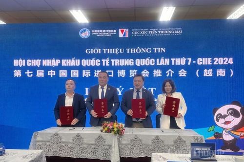 Hội chợ CIIE 2024: Cơ hội mở rộng kênh phân phối sản phẩm tại thị trường Trung Quốc