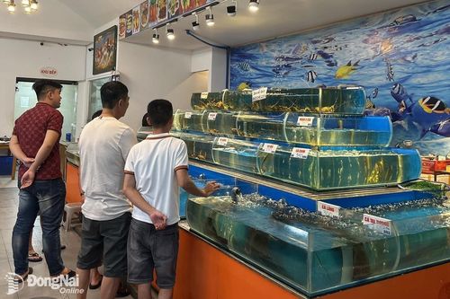 Chủ quán bò nướng Flamme Buffalo thăm hỏi khách, khắc phục các hạn chế