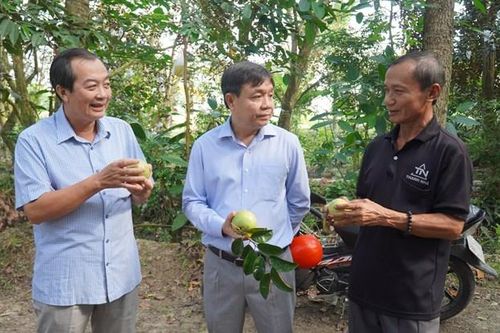 Phó Bí thư Thường trực Tỉnh ủy thăm nông dân và cơ sở sản xuất tại huyện Lai Vung