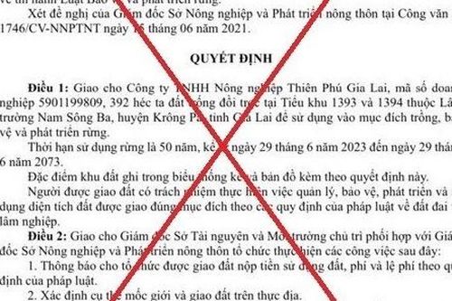 Sở Thông tin và Truyền thông chủ trì, phối hợp với các cơ quan điều tra vụ giả mạo quyết định của UBND tỉnh