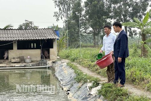 Yên Đồng: Triển vọng từ mô hình nuôi cá trê đồng