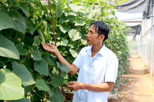 Hiệu quả từ một đề án
