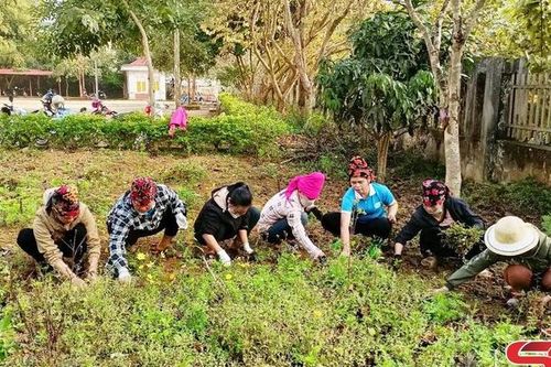 Phụ nữ Quỳnh Nhai chung tay xây dựng nông thôn mới