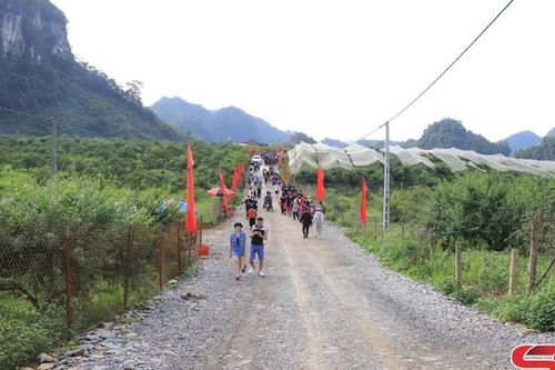Mộc Châu sẵn sàng cho Giải chạy Marathon đường mòn Việt Nam