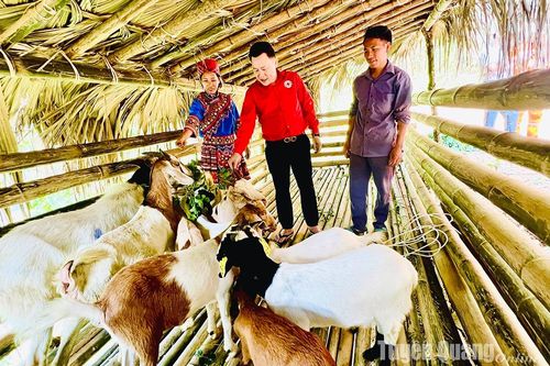 Những 'món quà sinh kế'