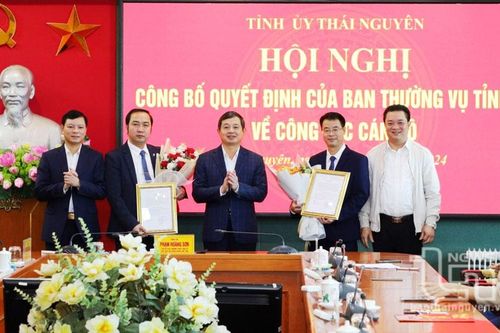 Công bố các quyết định của Ban Thường vụ Tỉnh ủy về công tác cán bộ