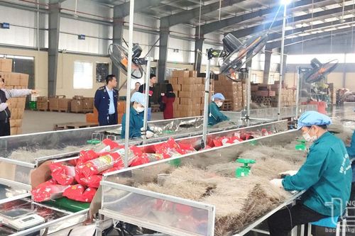 Kiểm tra an toàn vệ sinh thực phẩm tại Đồng Hỷ