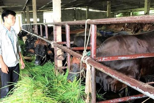 Nông dân xây dựng nông thôn mới, đô thị văn minh