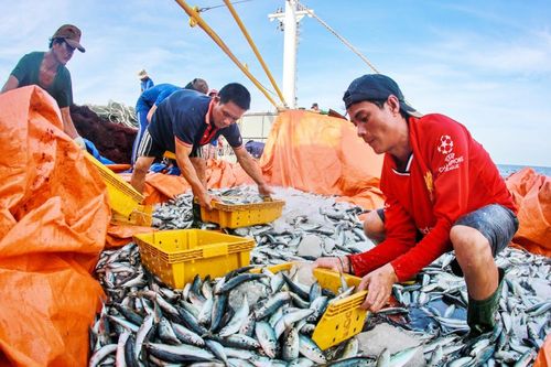 Đề xuất 26 đối tượng không chịu thuế giá trị gia tăng