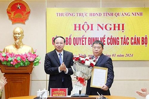 Quảng Ninh: Bổ nhiệm, điều động nhiều cán bộ cấp Sở, ngành, địa phương