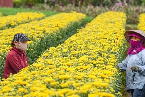 Nông nghiệp Thủ đô đặt mục tiêu tăng trưởng 2,5-3% trong năm 2024