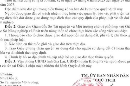 Gia Lai: Quyết định 1372 của UBND tỉnh về cấp đất trồng rừng là giả mạo