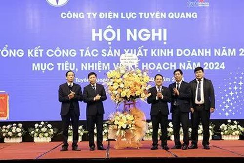 Tuyên Quang: Công ty Điện lực phấn đấu tiếp tục cung cấp điện an toàn, ổn định