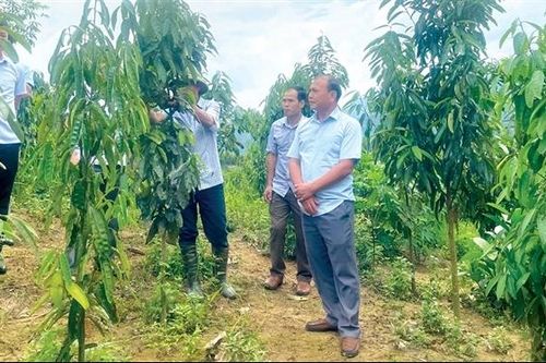 Chỉ đạo quyết liệt, kịp thời đáp ứng yêu cầu thực tiễn