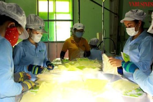 Mong đột phá cải cách kiểm tra chuyên ngành để không còn 'hành' doanh nghiệp