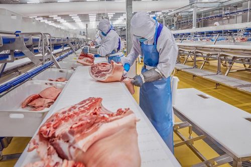 FAO: Chỉ số giá thực phẩm thế giới năm 2023 giảm 13,7%