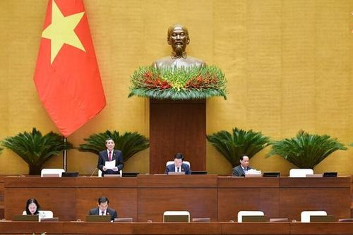 Cần thiết cấp lưới điện quốc gia cho Côn Đảo