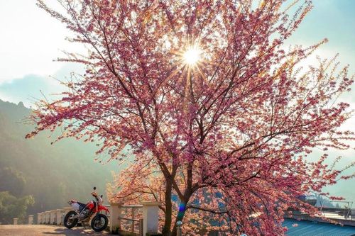 Người Việt gia tăng phụ thuộc vào mạng xã hội để tìm cảm hứng du lịch