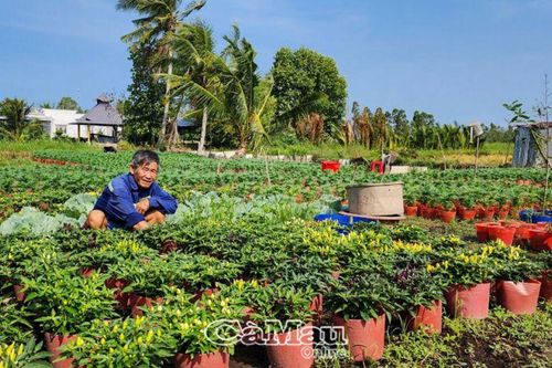 Góp sắc xuân tô đẹp xóm làng