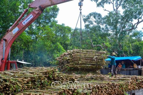 Tiếp tục huy động, sử dụng hiệu quả nguồn lực
