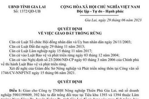 Đề nghị Công an vào cuộc điều tra vụ văn bản giả mạo giao 392ha rừng