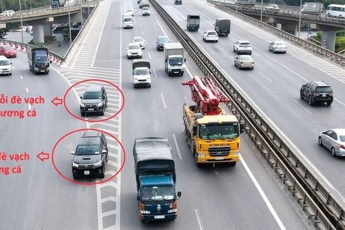 Khi nào được đè vạch xương cá?