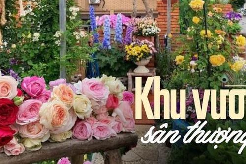 Ngắm khu vườn sân thượng rộng 35m2, nơi bạn có thể ngồi giữa 'biển' hoa và thưởng thức trà chiều