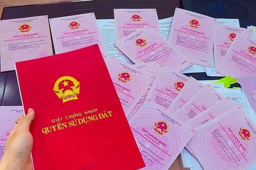 Đôi vợ chồng làm giả sổ đỏ lừa đảo 19,7 tỉ đồng sa lưới